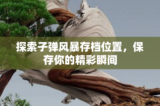 探索子弹风暴存档位置图片