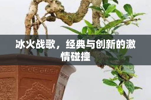 经典与创新的激情碰撞图片