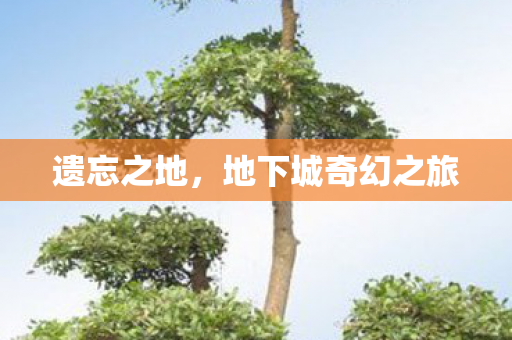 地下城奇幻之旅图片
