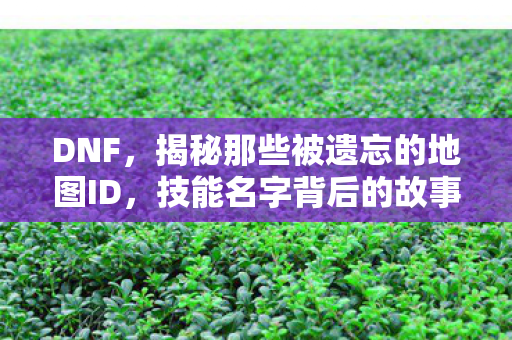 揭秘那些被遗忘的地图ID图片