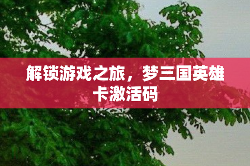 梦三国英雄卡激活码图片