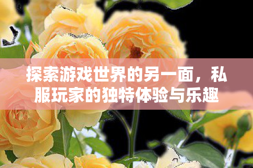 私服玩家的独特体验与乐趣图片