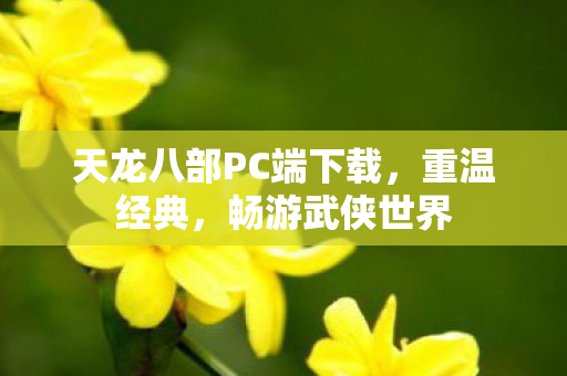 天龙八部PC端下载图片