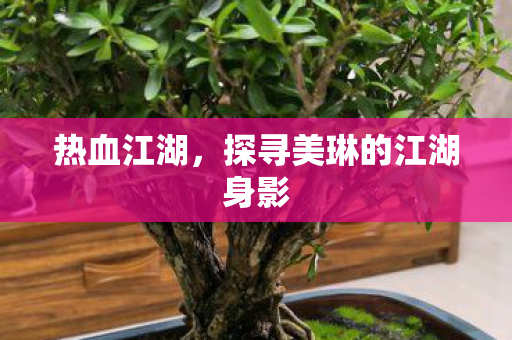 热血江湖,探寻美琳的江湖身影 热血江湖,探寻美琳的江湖身影