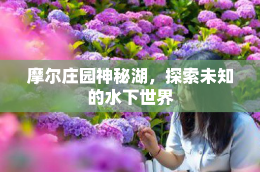 探索未知的水下世界图片