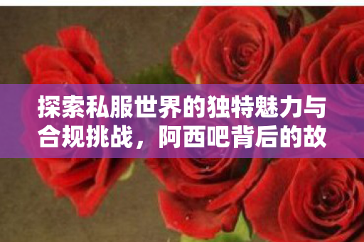 探索私服世界的独特魅力与合规挑战图片