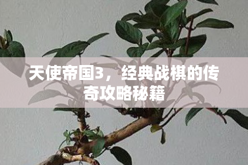 经典战棋的传奇攻略秘籍图片
