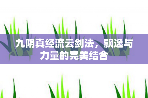 飘逸与力量的完美结合图片