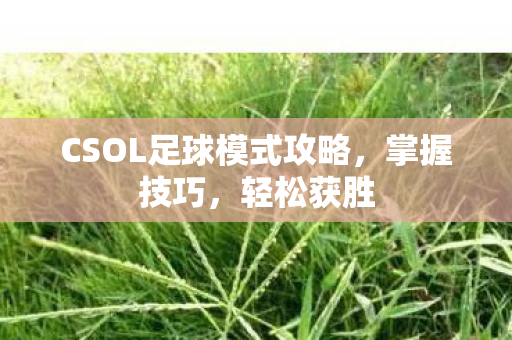 CSOL足球模式攻略图片