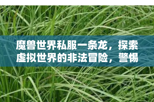 探索虚拟世界的非法冒险图片