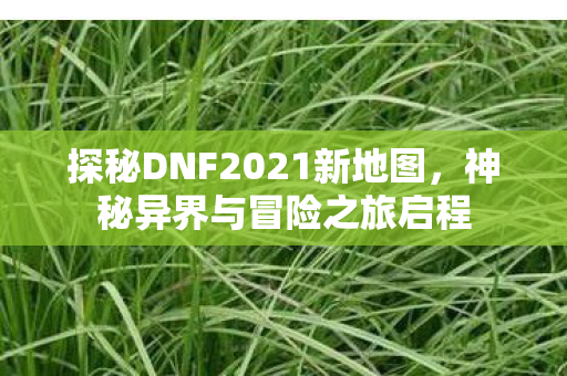 探秘DNF2021新地图图片