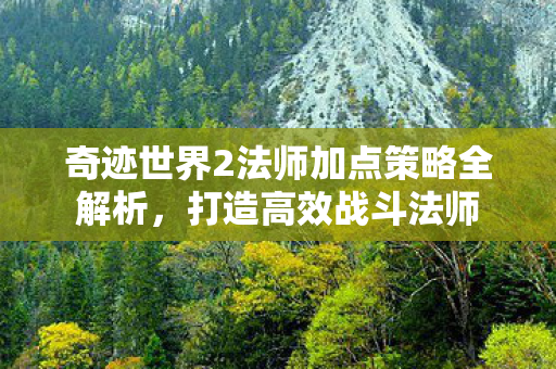 奇迹世界2法师加点策略全解析图片