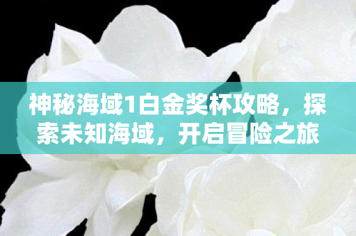 神秘海域1白金奖杯攻略图片