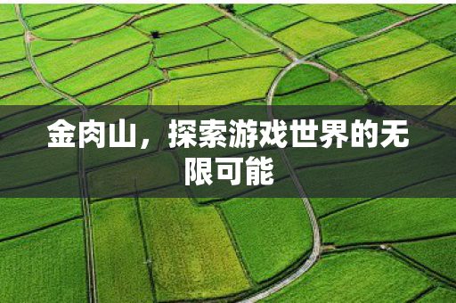 探索游戏世界的无限可能图片