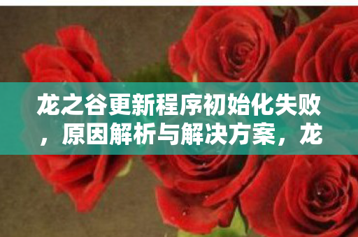 龙之谷更新程序初始化失败图片
