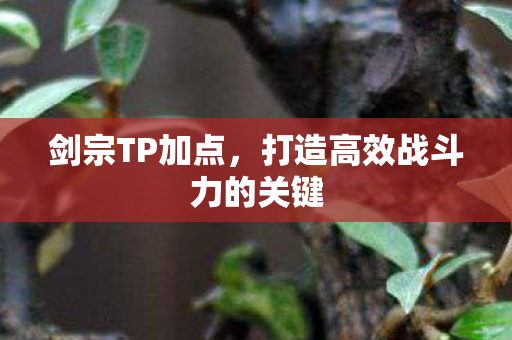 打造高效战斗力的关键图片