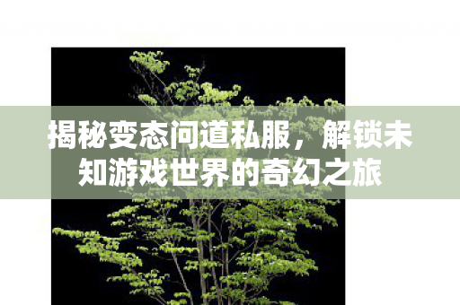 解锁未知游戏世界的奇幻之旅图片