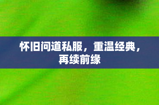 怀旧问道私服图片