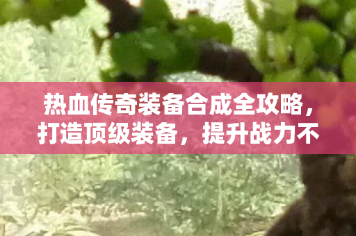 热血传奇装备合成全攻略图片