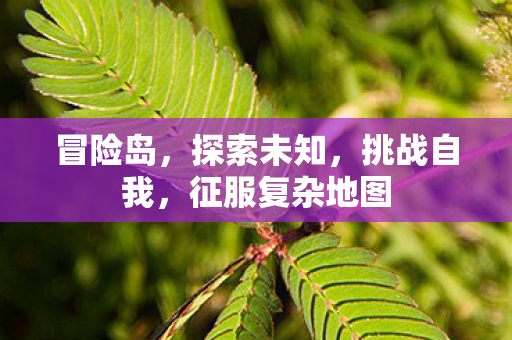 征服复杂地图图片