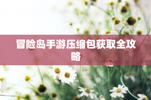 冒险岛手游压缩包获取全攻略图片