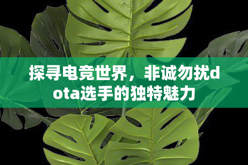 非诚勿扰dota选手的独特魅力图片