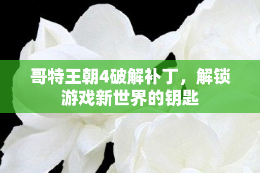 解锁游戏新世界的钥匙图片