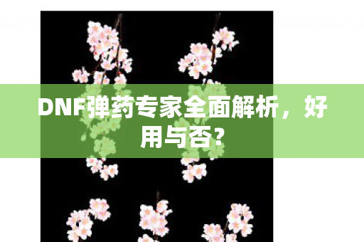DNF弹药专家全面解析图片
