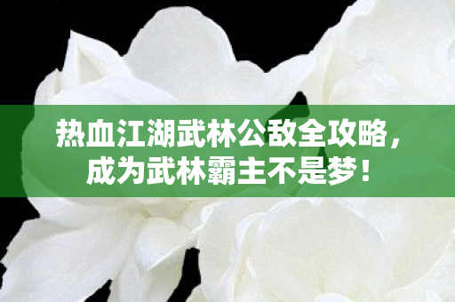 热血江湖武林公敌全攻略图片