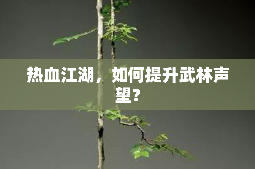 如何提升武林声望图片