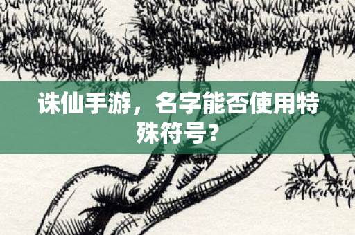 名字能否使用特殊符号图片