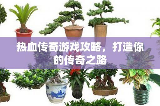 热血传奇游戏攻略图片