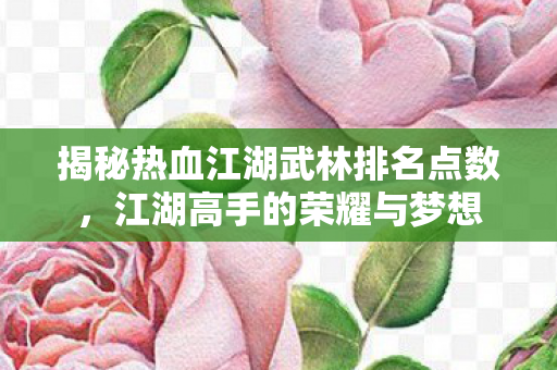 揭秘热血江湖武林排名点数图片