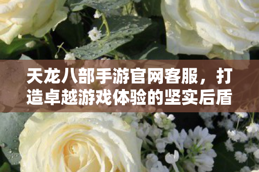 打造卓越游戏体验的坚实后盾图片