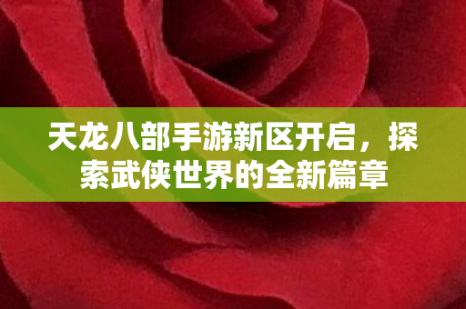 探索武侠世界的全新篇章图片