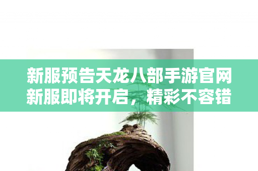 新服预告天龙八部手游官网新服即将开启图片