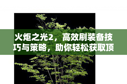 高效刷装备技巧与策略图片