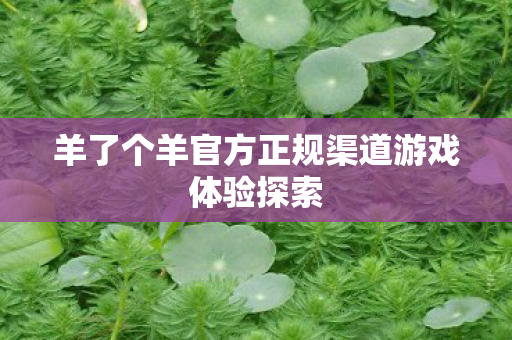 羊了个羊官方正规渠道游戏体验探索图片