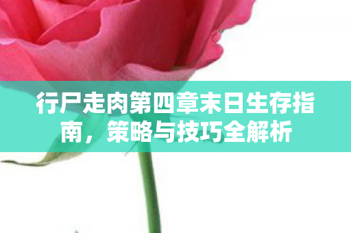 行尸走肉第四章末日生存指南图片