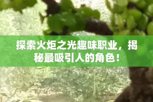 探索火炬之光趣味职业图片