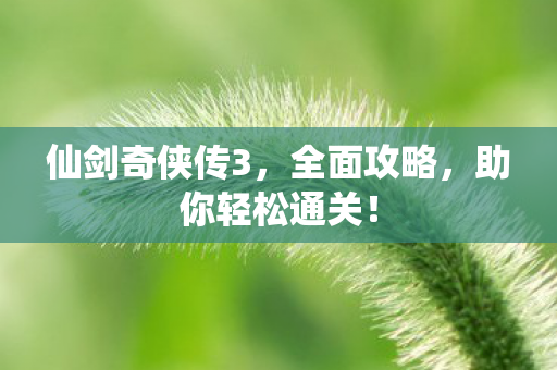 仙剑奇侠传3图片