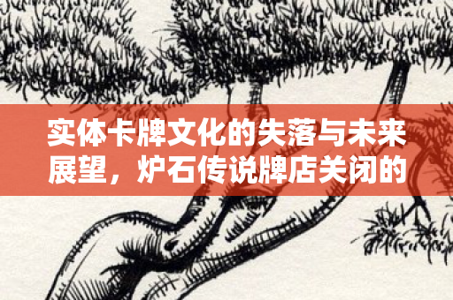 实体卡牌文化的失落与未来展望图片