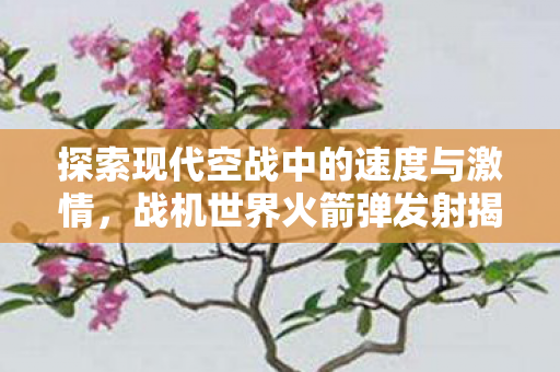 探索现代空战中的速度与激情图片