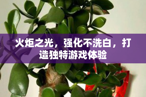 打造独特游戏体验图片