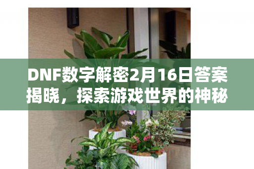 DNF数字解密2月16日答案揭晓图片