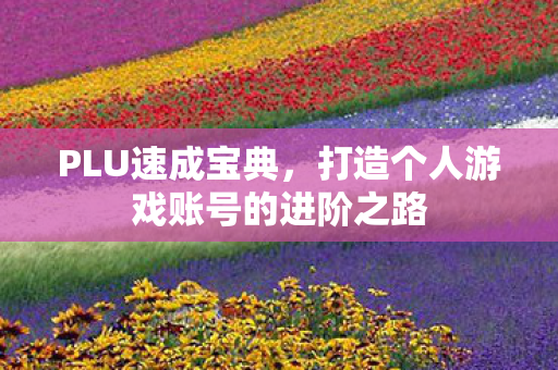 打造个人游戏账号的进阶之路图片