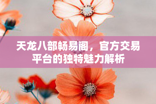 官方交易平台的独特魅力解析图片
