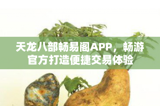 天龙八部畅易阁APP，畅游官方打造便捷交易体验