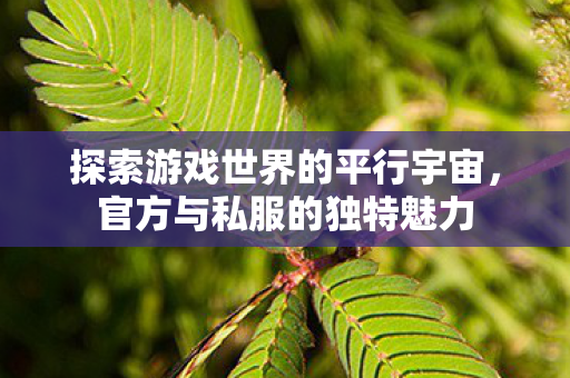 探索游戏世界的平行宇宙图片