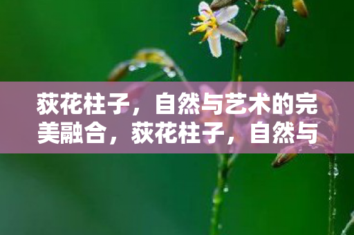 自然与艺术的和谐交响曲图片